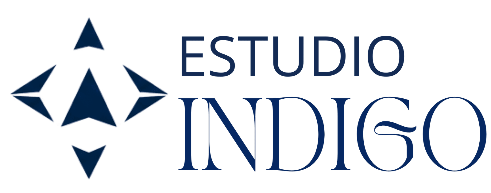 Logotipo de estudio indigo, diseño de páginas web